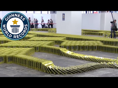 Book Dominoes - Guinness World Records 2016