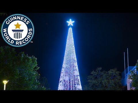 Largest display of Christmas lights on an artificial tree  - Guinness World Records