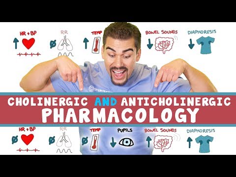 Choliergic (PNS) vs Anticholinergic (SNS)