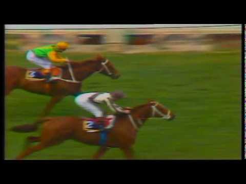 1986 Cox Plate (Bonecrusher vs Our Waverley Star)