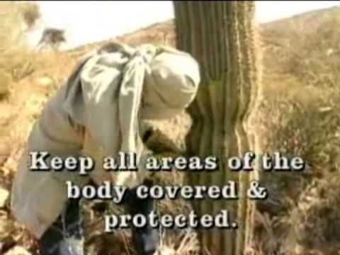 HOT LAND SURVIVAL: Aircrew Survival Training - Survivalist Desert Climate