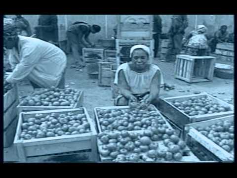 An Economic History Of Ghana (Part #1)