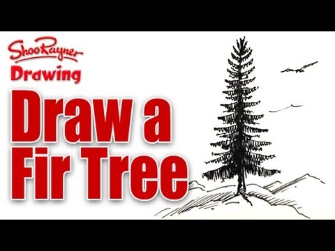 Learn to draw a Fir Tree - spoken tutorial