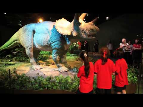 Robotic dinosaurs go wild at Field Museum