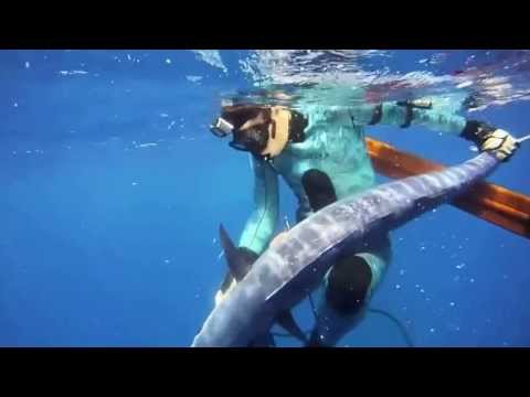 Spearfishing Niue 2013