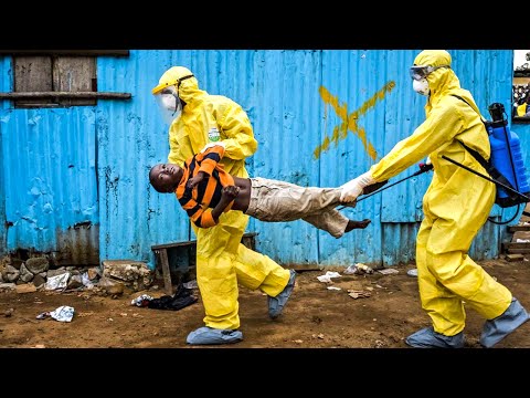 Ebola: The 2014 Outbreak Explained