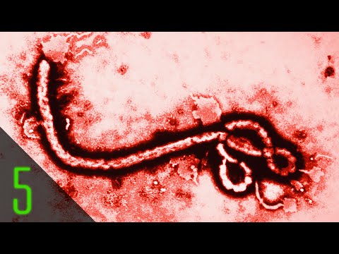 5 Terrifying Facts About Ebola