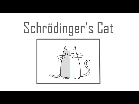 Schrödinger's cat: A thought experiment in quantum mechanics - Chad Orzel