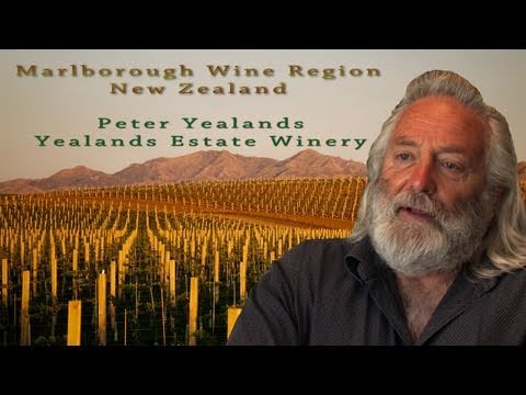 Marlborough Sauvignon Blanc Wine Region, New Zealand Travel Video Guide