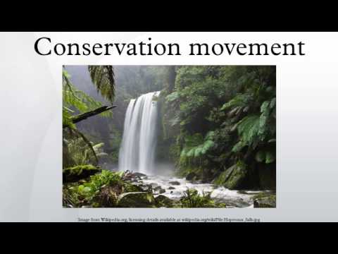 Conservation movement