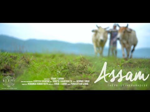 Assam The Pristine Paradise