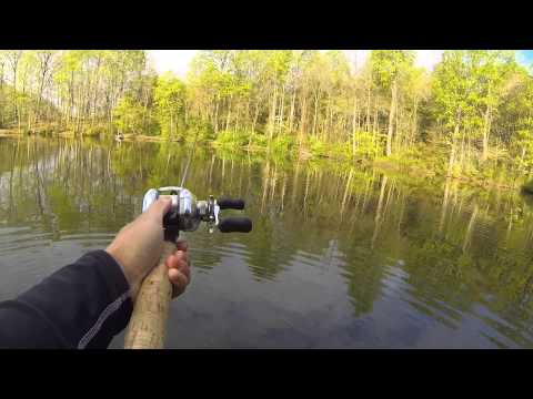 Centennial Lake Annual Spring Fishing Tournament 5/2/15