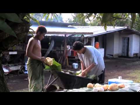 warriors born  american samoans in the u s  military