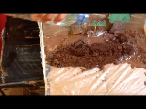 Geography Video (Surface Runoff)