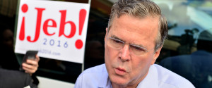 Jeb Bush