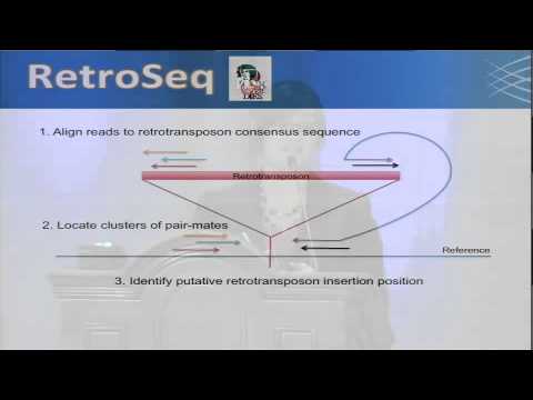 RetroSeq: A Tool To Discover Somatic Insertion of Retrotransposons - Elena Helman