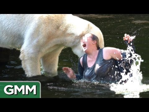 5 Dumbest Zoo Break-Ins Ever