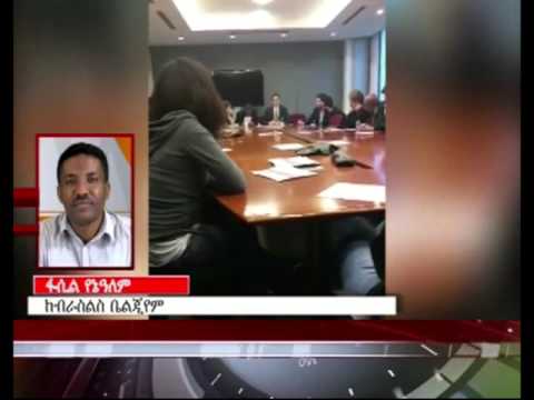 Prof. Berhanu Nega in Brussels, EU meeting (ESAT News)