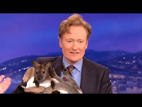 Animal Expert David Mizejewski: Wallaby & Caracal - CONAN on TBS