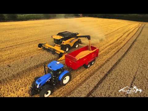 Farming at Lower House Farm, Canon Frome August 2015