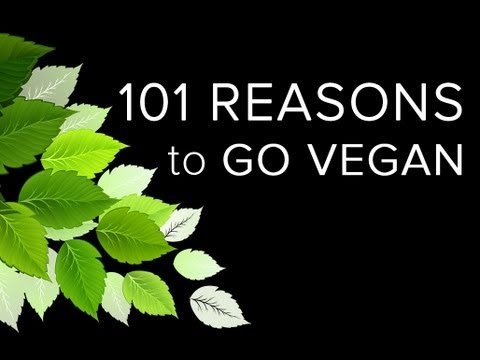 101 - Reasons to Go Vegan - Presentation