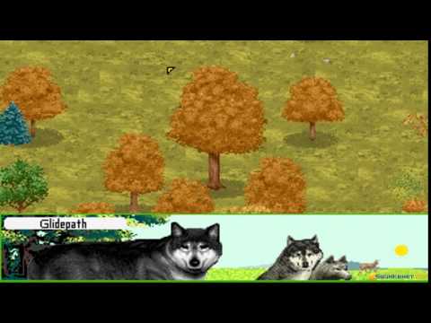 Wolf - 1994 PC Game, introduction and gameplay