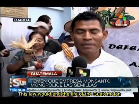 Guatemala: Peasants and indigenous people reject "Monsanto Law"