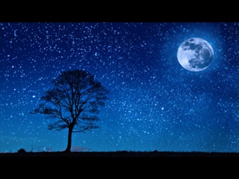 8 Hour Deep Sleep Music ~ Relaxing Ambient Sleep ~ Delta Brainwaves ( Zen, Meditation)