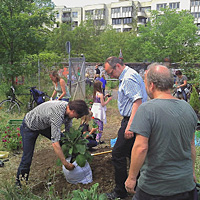 Pflanzaktion mit H.Funken, M.Nelken und A.Otto