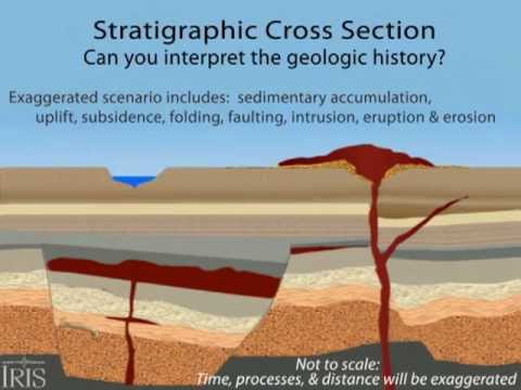 Stratigraphic Cross Section—Interpreting the Geology