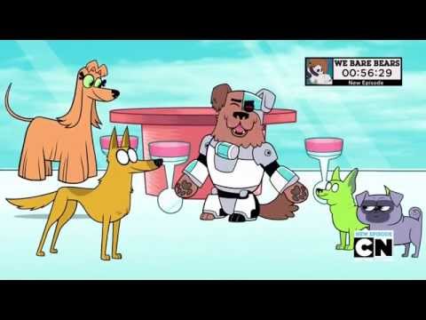 Teen Titans Go! "Animals It's Just a Word!"