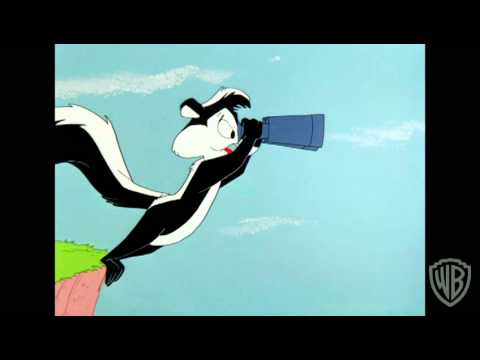 Pepe Le Pew -- I Deserve A Vacation