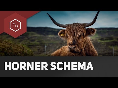 Horner-Schema erklärt - Nullstellen leicht gemacht