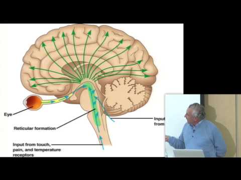 Consciousness & Physiology I