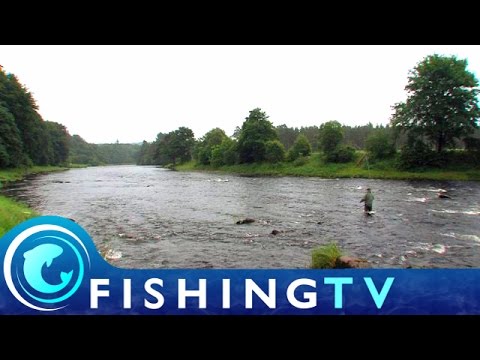 Salmon Fishing on the River Dee - Fishing TV