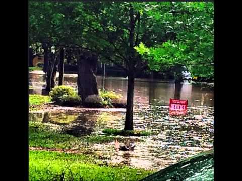 BREAKING NEWS:  EXCLUSIVE HOUSTON TEXAS FLOOD (PHOTOS)