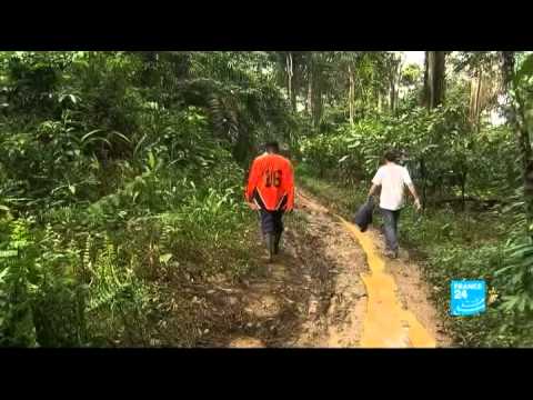 Cameroon: the rush for palm oil - Planet hope - FRANCE 24