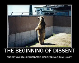 dissent