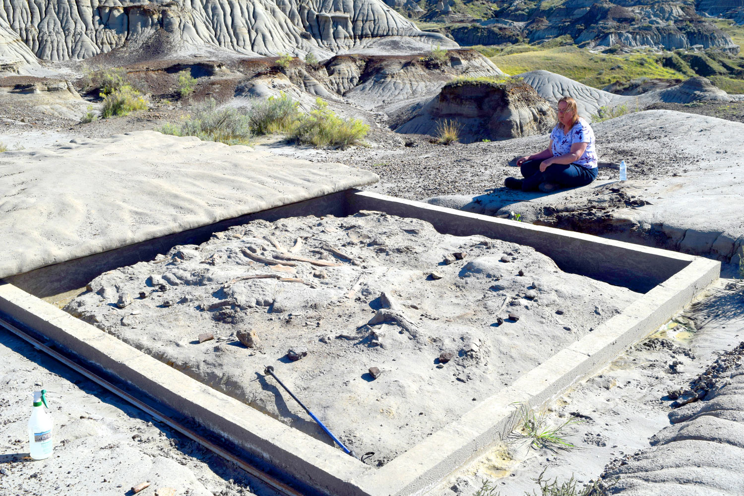 Centrosaur bone bed located near the central part of Dinosaur Provincial Park. Our group had an amazing guided tour to this bone bed which occurs in the Dinosaur Park Formation.