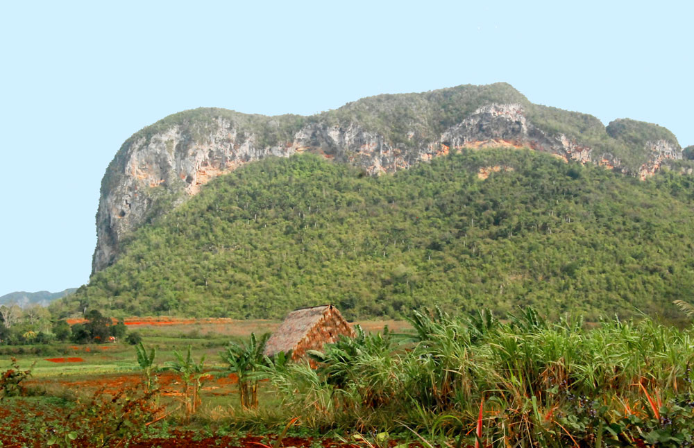 One of the towering limestone hills locally known as “mogotes” of the Pinar del Río Province in far western Cuba. This mogote is known as Abra de Ancón and it is famous for the site where Manuel Fernández de Castro first found Jurassic marine invertebrate fossils in the late 1800’s. 