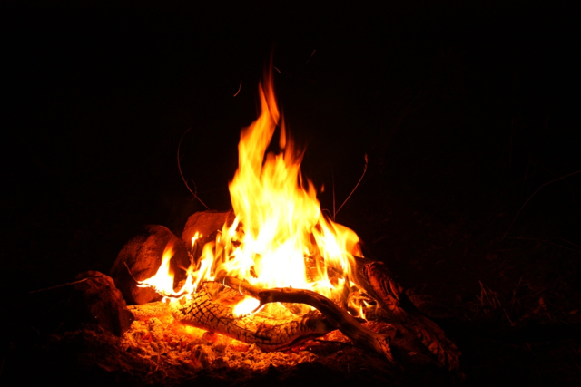 Campfire Los Padres Santa Barbara