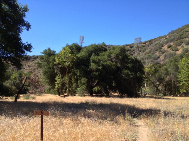 Coldwater Camp San Rafael Wilderness Los Padres Santa Barbara hikes