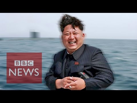 Kim Jong-un: Birthday boy, but when was he born? BBC News