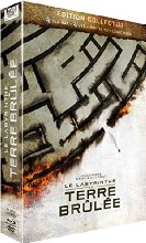 Le Labyrinthe : La Terre Brûlée [Combo Collector Blu-ray + DVD]