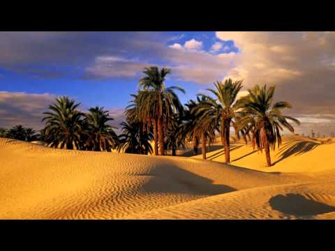 3 HOURS Arabian Music Desert Oasis For Sleep, Study & Relaxation