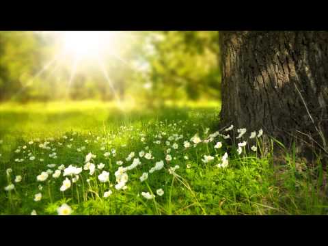 3 HOURS Relaxing Celtic Fantasy Music | Peaceful Flute | for Relax, Meditation, Study, Pregnance