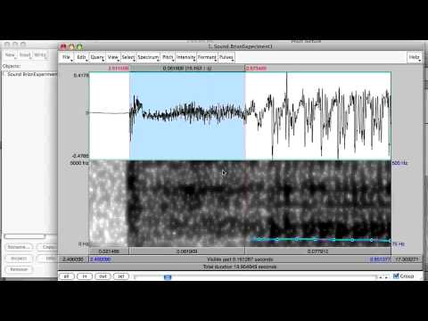 Measuring voice onset time (VOT) in voiced and voiceless stops