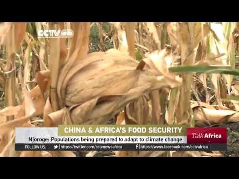 Talk Africa: China Africa Agriculture Co operation