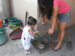 Baby - Nanny - Parrot Bird