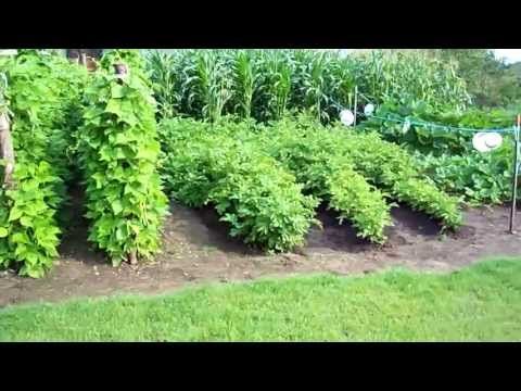 Making a Heirloom Organic Vegetable Garden Start To Finish 2011